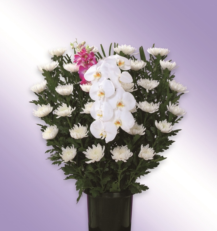 菊籠(和花)