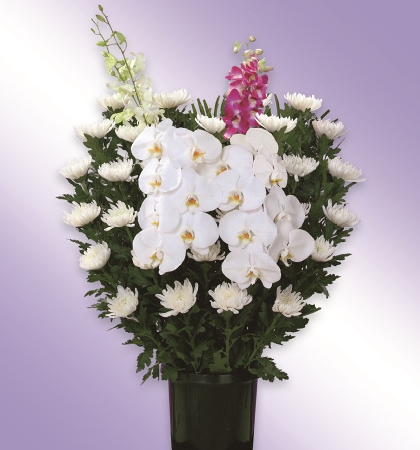 菊籠(和花)